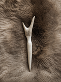 Stagwrought Hairsticks