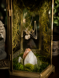 Gravewing Reliquary