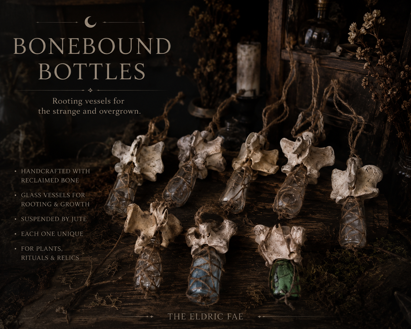 Bonebound Bottles